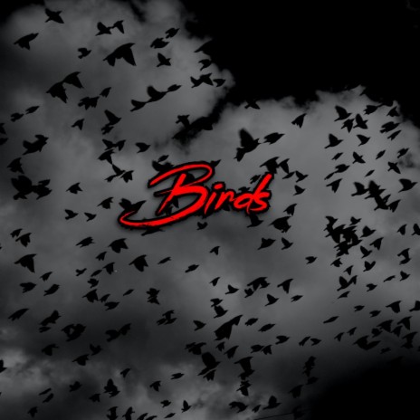 Birds | Boomplay Music