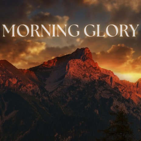 MORNING GLORY