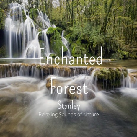 Enchanted Forest (Extended Version) | Boomplay Music