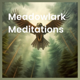 Meadowlark Meditations