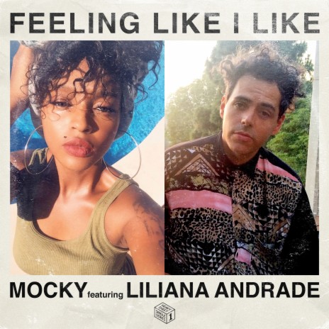 Feeling Like I Like ft. Liliana Andrade | Boomplay Music