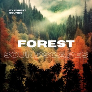 Forest Soundscapes