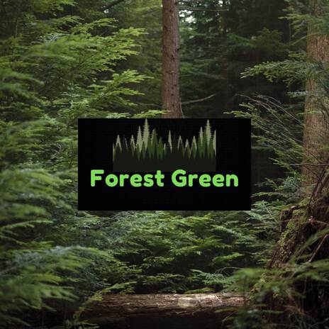 Forest Melody | Boomplay Music