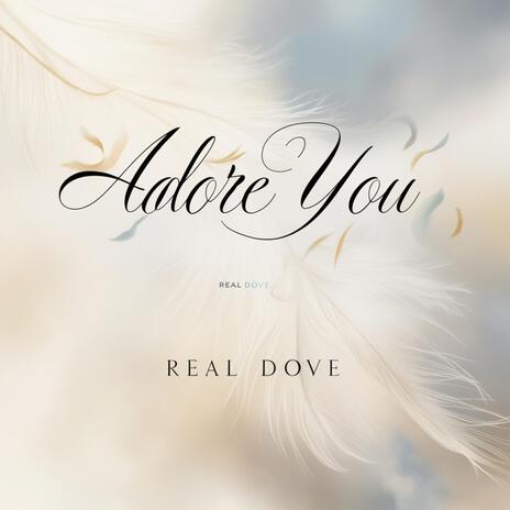 Adore you | Boomplay Music