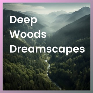 Deep Woods Dreamscapes