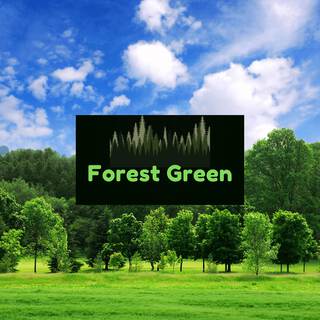 Green Woods Forest