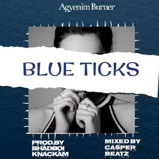 Blue Ticks lyrics | Boomplay Music