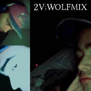 2V;WOLFMIX