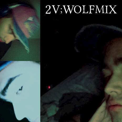 2V;WOLFMIX | Boomplay Music