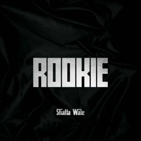 Rookie | Boomplay Music