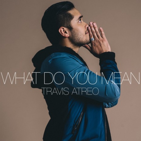 What Do You Mean | Boomplay Music