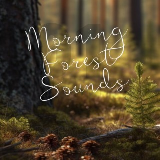 Morning Forest Sounds