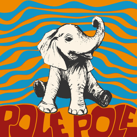 Pole pole | Boomplay Music