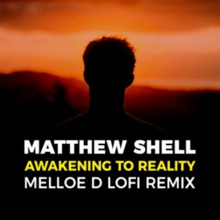 Awakening to Reality (Melloe D LoFi Remix)