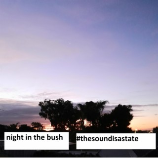night in the bush