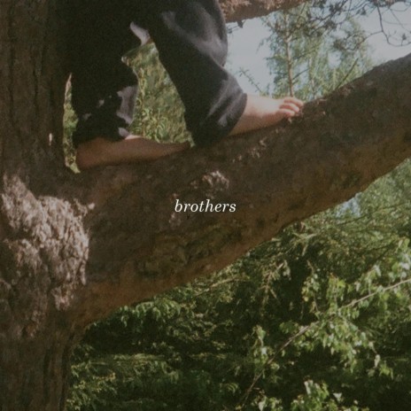 brothers | Boomplay Music