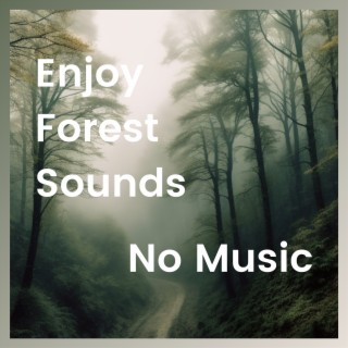 Enjoy Forest Sounds, No Music