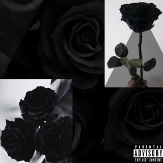 Blxck Roses