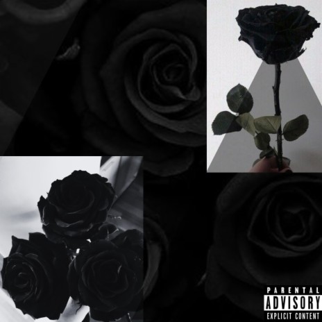 Blxck Roses | Boomplay Music