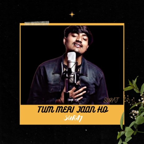 Tum Meri Jaan Ho | Boomplay Music