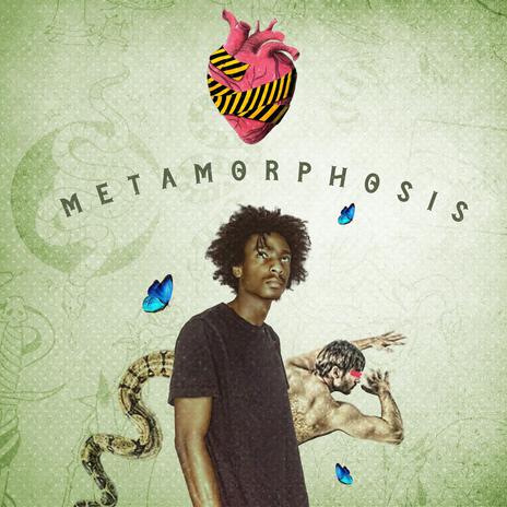 METAMORPHOSIS | Boomplay Music