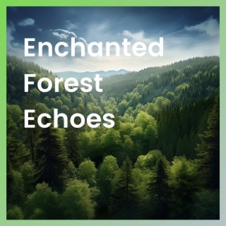 Enchanted Forest Echoes
