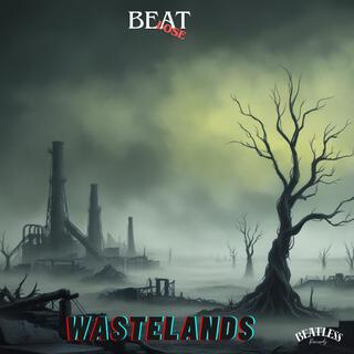 Wastelands