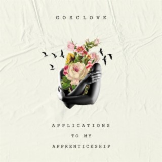 APPLICATIONS TO MY APPRENTICESHIP (DELUXE)