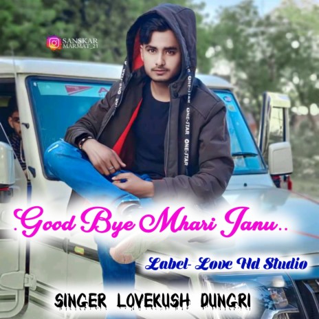 Good Bye Mhari Janu (Rajsthani Song) | Boomplay Music