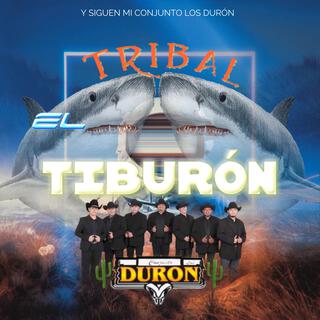 Tribal El Tiburon