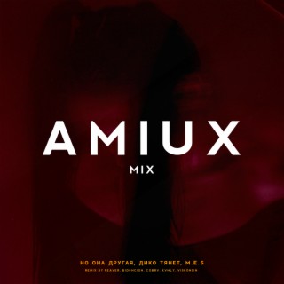 AMIUX MIX