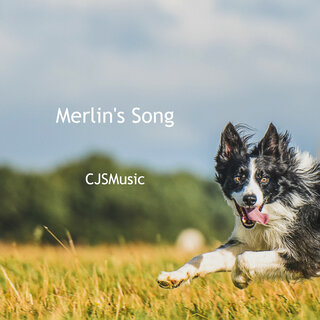 Merlin's Song