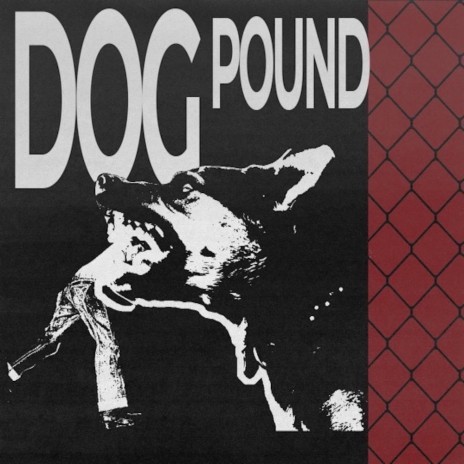 Dog Pound | Boomplay Music