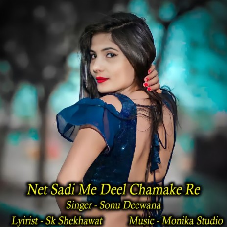 Net Sadi Me Deel Chamake Re | Boomplay Music