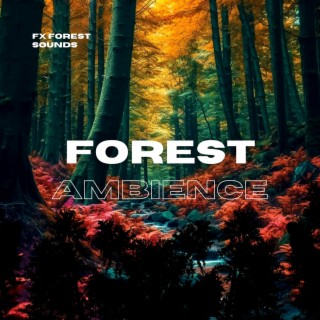 Forest Ambience Nature Sounds