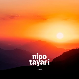 Nipo Tayari