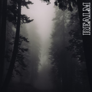 Realm lyrics | Boomplay Music