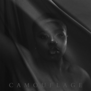 Camouflage lyrics | Boomplay Music