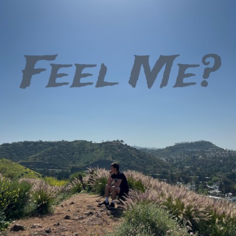 Feel Me? | Boomplay Music