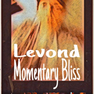 Momentary Bliss lyrics | Boomplay Music