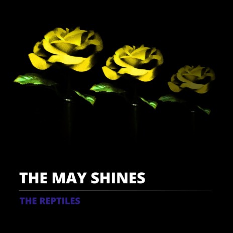 The May Shines (Radio Edit) | Boomplay Music