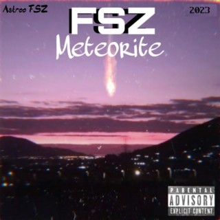 FSZ Meteorite