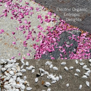 Electric Organic