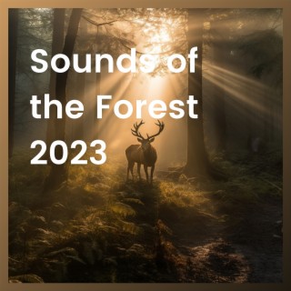 Sounds of the Forest 2023