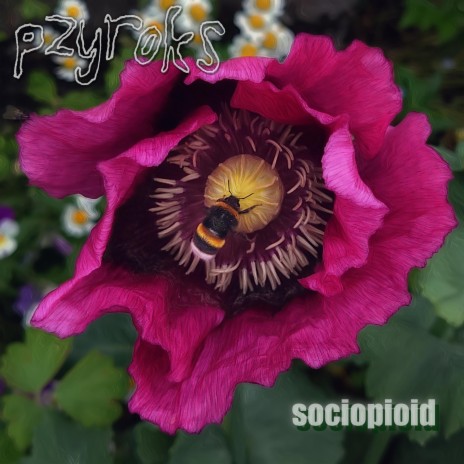 sociopioid | Boomplay Music