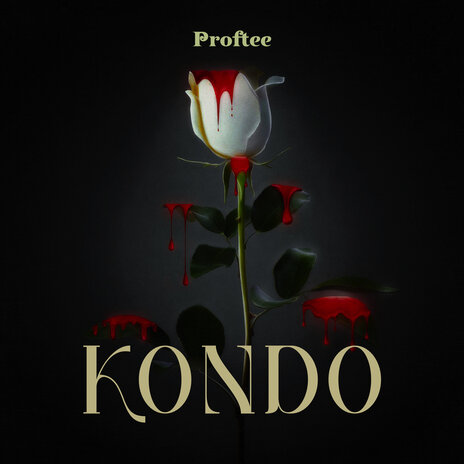 Kondo | Boomplay Music