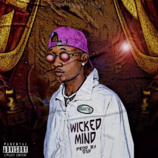 Wicked Mind lyrics | Boomplay Music