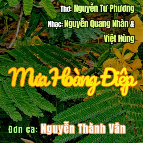 Mưa Hoàng Điệp | Boomplay Music