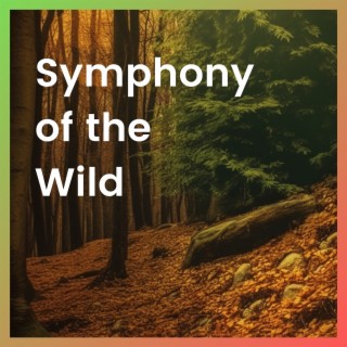 Symphony of the Wild