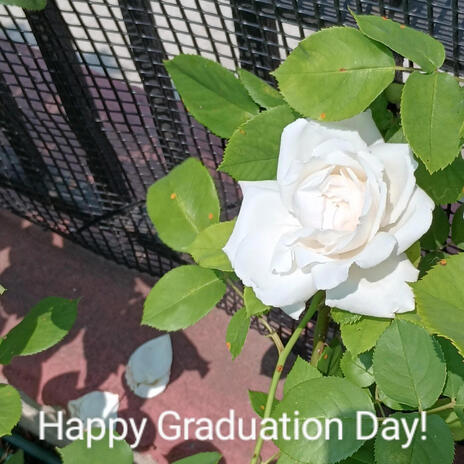 Happy Graduation Day! | Boomplay Music